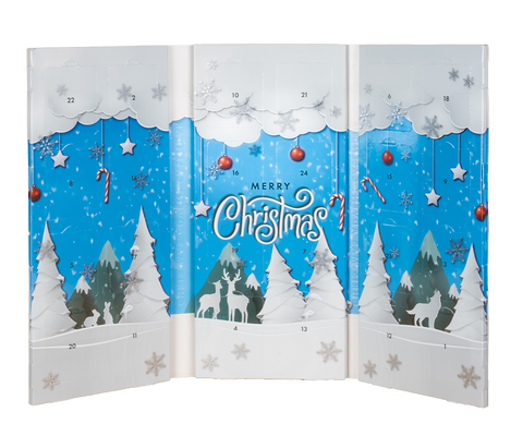 Snowy Christmas Advent Calendar - 24 plicuri asortate