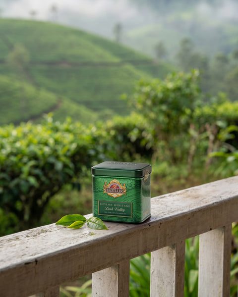 🍃 Basilur Classic Verde & Negru